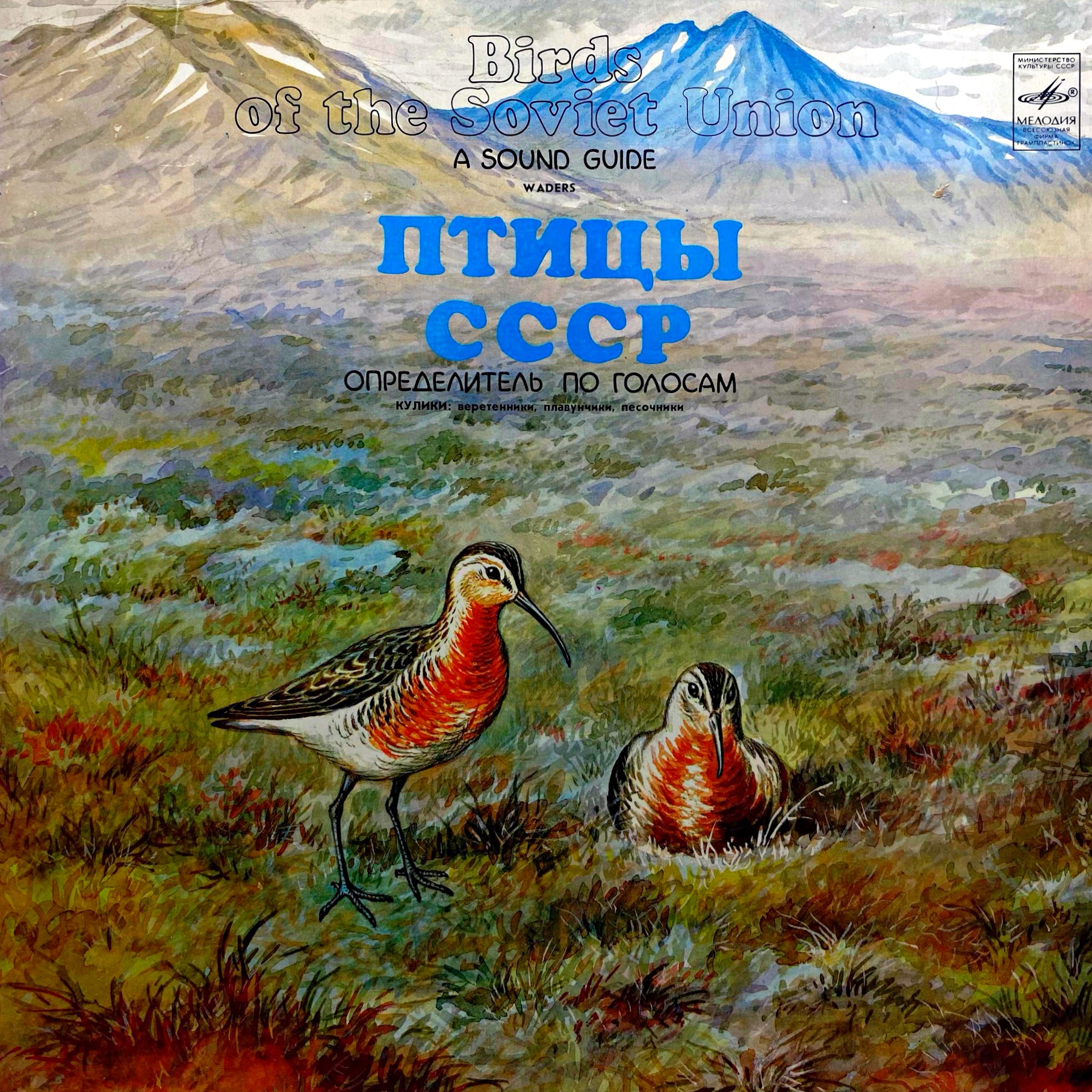 LP Birds Of The Soviet Union - A Sound Guide