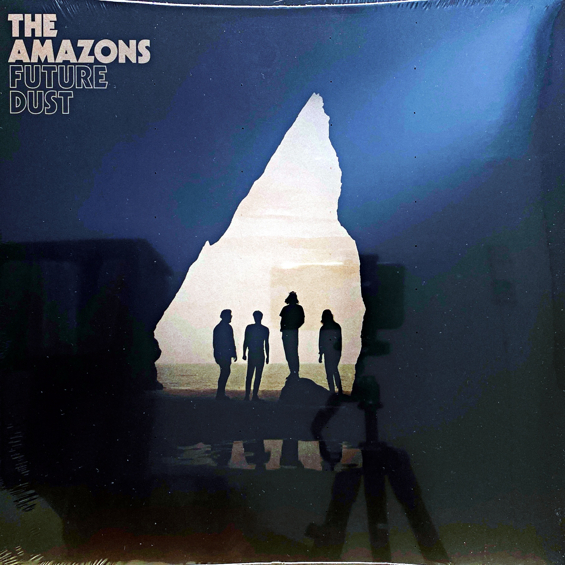 LP The Amazons – Future Dust