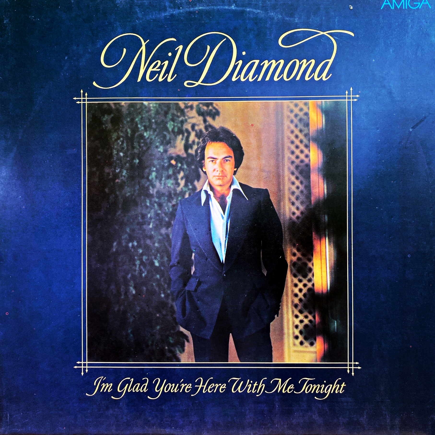 LP Neil Diamond – I'm Glad You're Here With Me Tonight