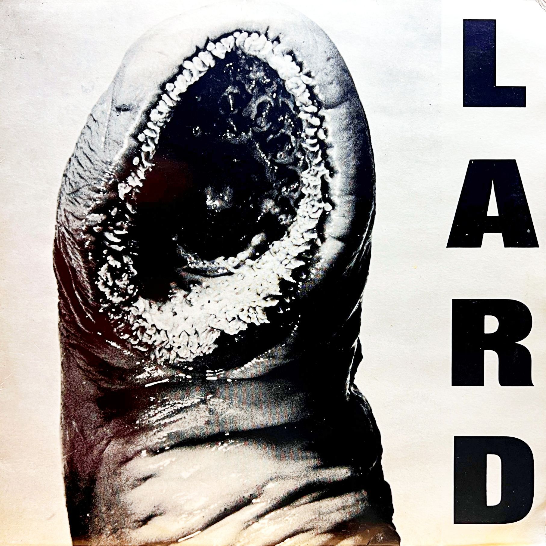 12" Lard – The Power Of Lard EP
