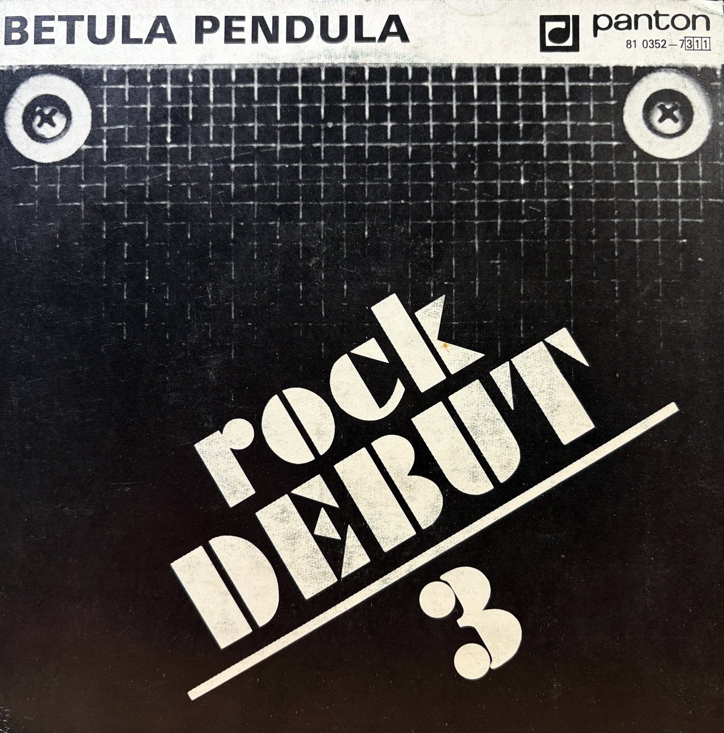 7" Betula Pendula – Rock Debut 3