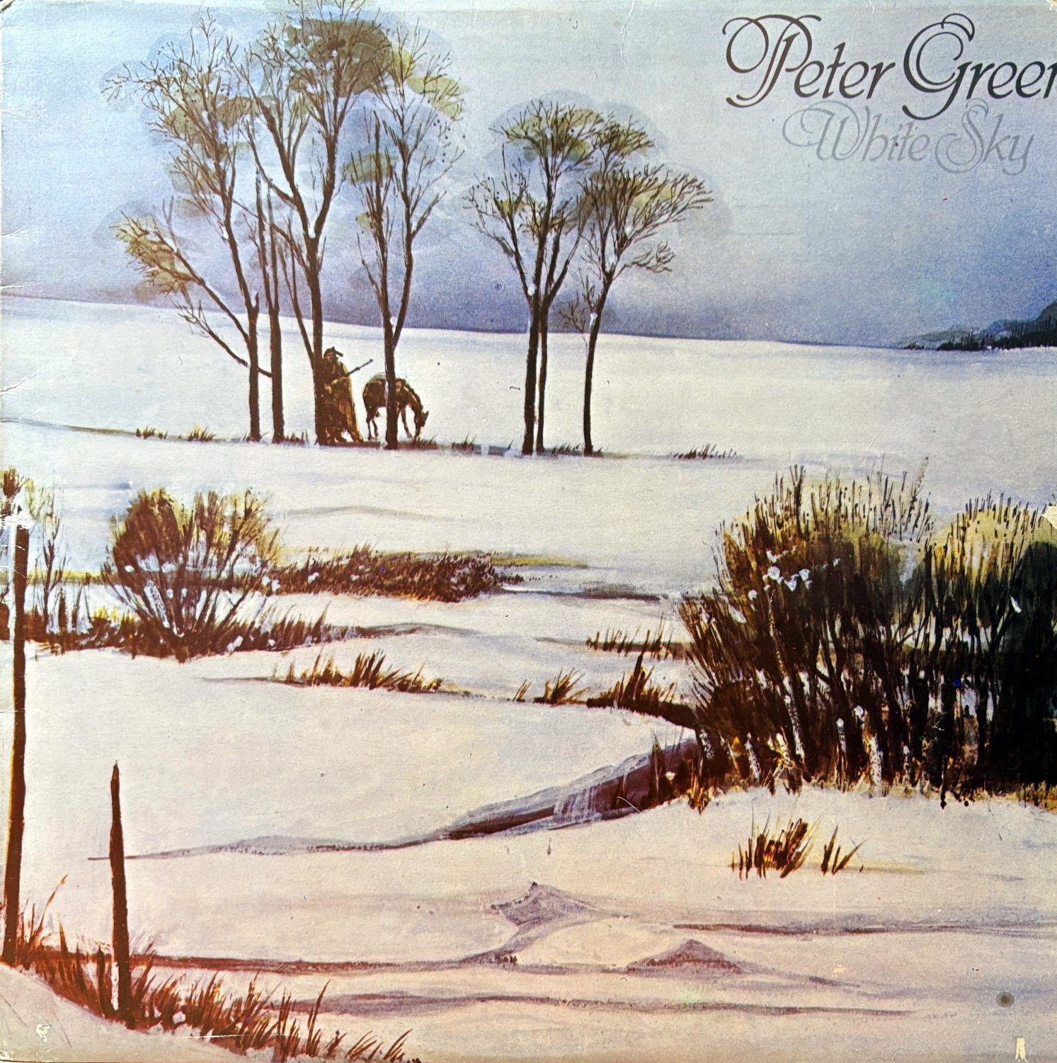 LP Peter Green ‎– White Sky