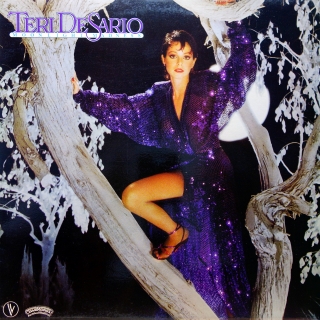 LP Teri DeSario ‎– Moonlight Madness