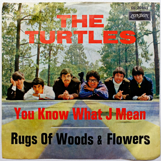 7" The Turtles ‎– You Know What I Mean / Rugs Of Woods & Flowers