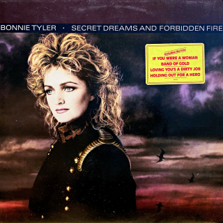 LP Bonnie Tyler – Secret Dreams And Forbidden Fire (čtěte popis)