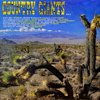 LP Various – Country Giants Vol. 3