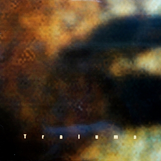LP Traluma ‎– Seven Days Awake